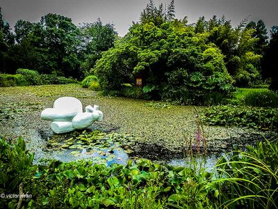 Arboretum kalmthout