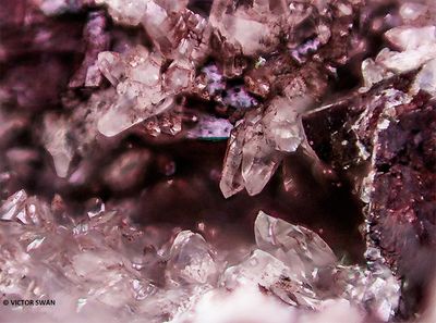 1367-Calciet.JPG