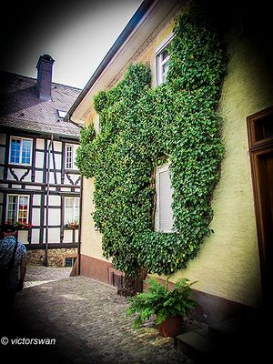 Gengenbach