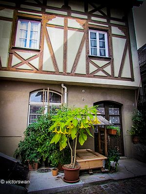 Gengenbach