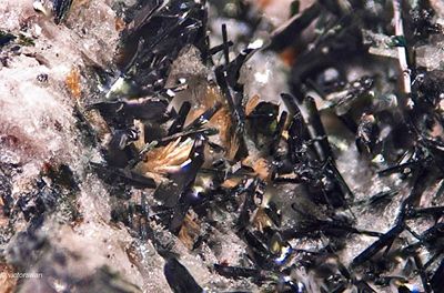 6040B-Pyroxeen.JPG