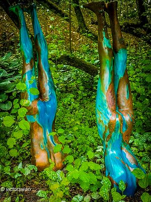 Arboretum kalmthout