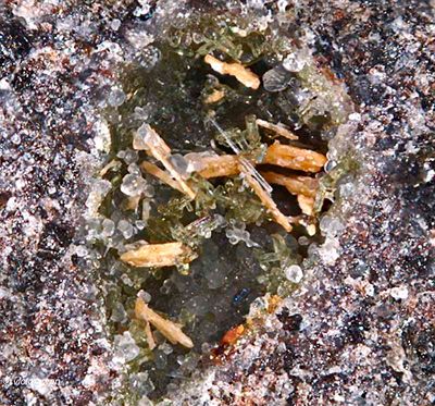 6051-Pyroxeen.JPG