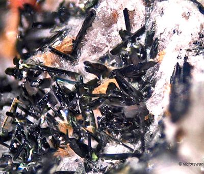6040-Pyroxeen.JPG
