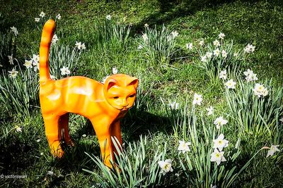 Opdorp 2024 cats.JPG