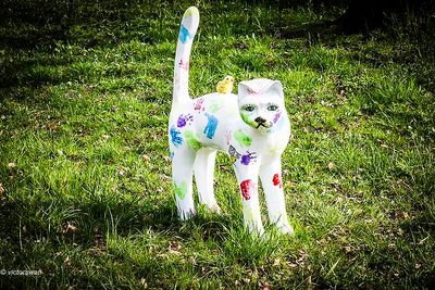 Opdorp 2024 cats.JPG