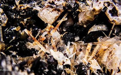 7872-Nefeline-pyroxenen.JPG