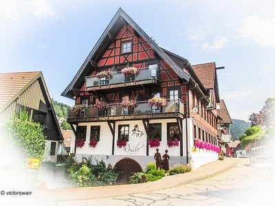 Black forest