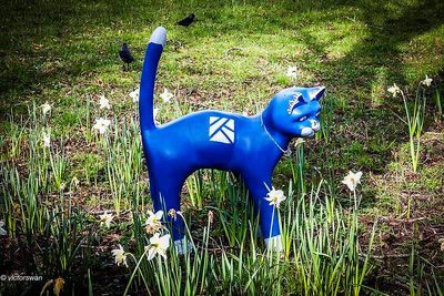 Opdorp 2024 cats.JPG
