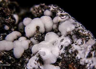 7870-Alumohydrocalcite.JPG