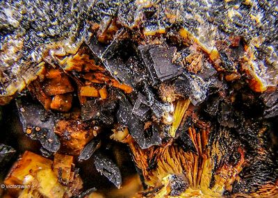 7872-Pyroxenen.JPG
