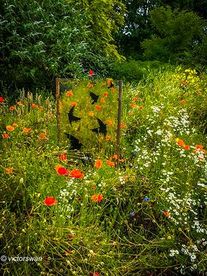 Arboretum kalmthout