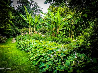 Arboretum kalmthout