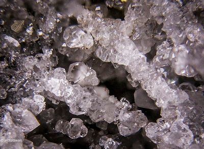 2497-Calciet.JPG