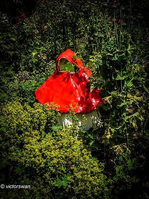 Arboretum kalmthout