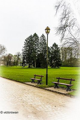Meise