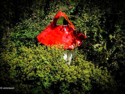 Arboretum kalmthout