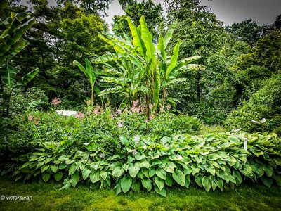 Arboretum kalmthout