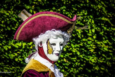 Venetian Costumes.JPG