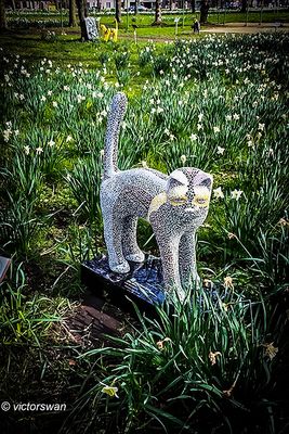 Opdorp 2024 cats.JPG
