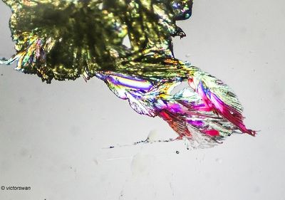 g13/89/1165089/3/175244935.07a97ad2.JPEG