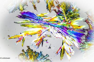 g13/89/1165089/3/175256498.f8a3e849.JPEG