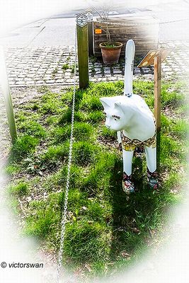 Opdorp 2024 cats.JPG