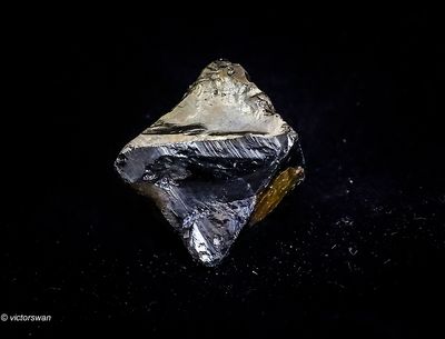 0372-Pyriet .JPG