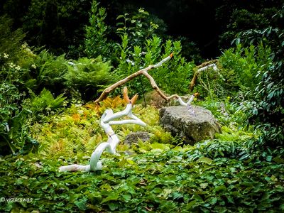 Arboretum kalmthout
