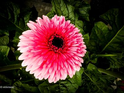 g13/89/1165089/3/175345966.f53dde77.JPEG