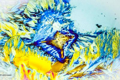 crystallizations