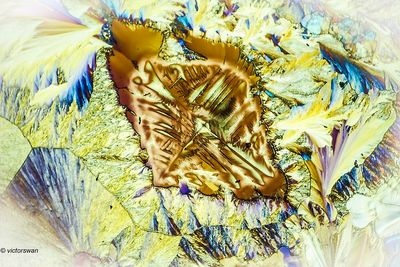 crystallizations