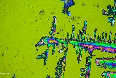 crystallizations