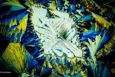 crystallizations