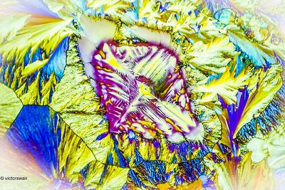 crystallizations