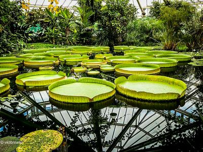 Meise National plant garden of belgium