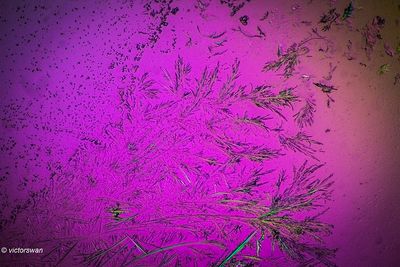 g13/89/1165089/3/175488556.c6af279b.JPEG