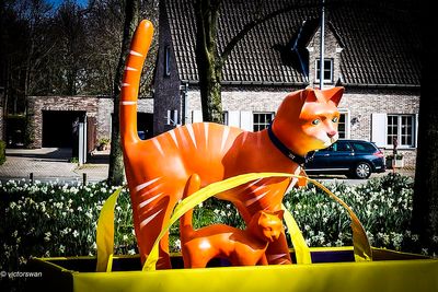 Opdorp 2024 cats.JPG