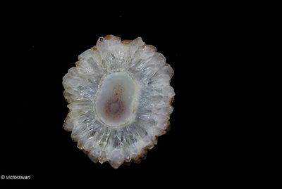 0400-Kwarts.JPG