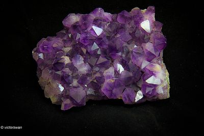 Minerals