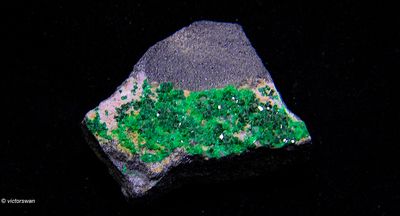 Minerals