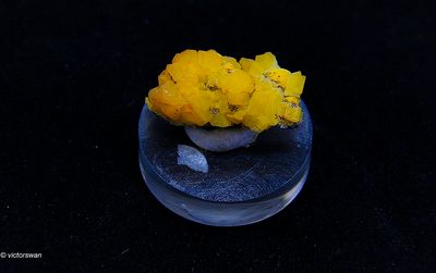 Minerals