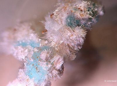 Minerals