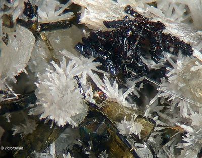 Minerals