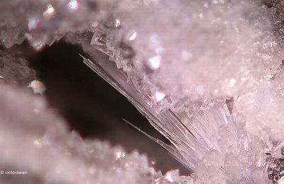 Minerals