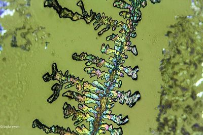 crystallizations