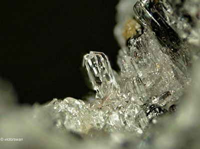 Minerals