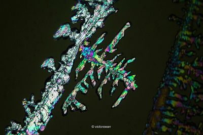 crystallizations