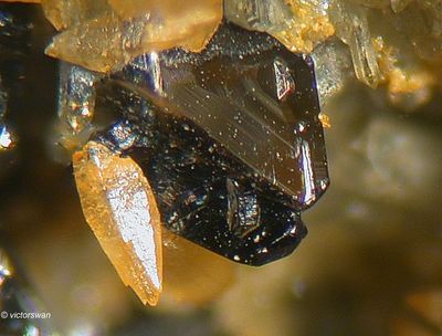 Minerals