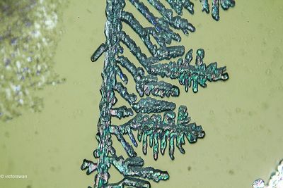 crystallizations